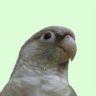 Profilbild von Keisha