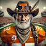 The Average Vols Fan 的头像