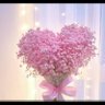 stella's profile picture