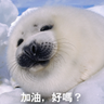 周少's profile picture