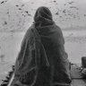 القناص…'s profile picture