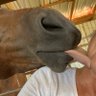 Kellie Mallory profil fotoğrafı