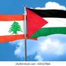 Salwa Ibrahim's profile picture