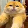 Benoffie's profile picture