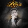 shavez ali's profile picture