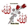 Фото профиля illada Edep