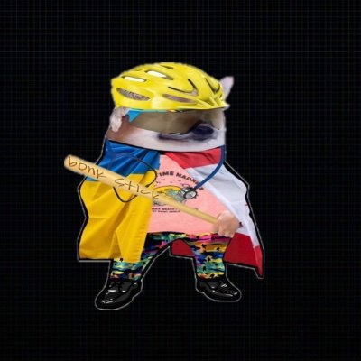 drkatems's profile picture