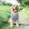 QQQQQ profil fotoğrafı