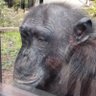 Miomio profil fotoğrafı
