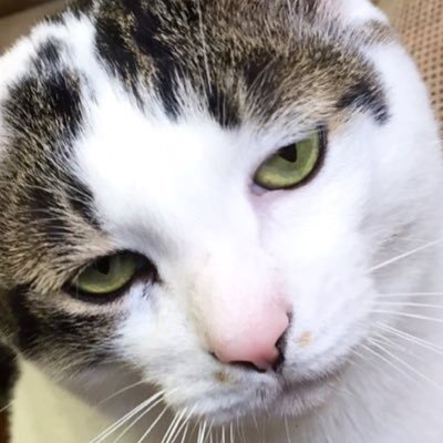 iasdays's profile picture