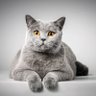 Abdoluwatosin profil fotoğrafı