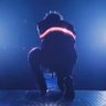 のはら はらっぱ profil fotoğrafı