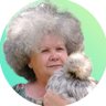 NO CLUCKERY profil fotoğrafı