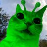 Profilbild von Colipi