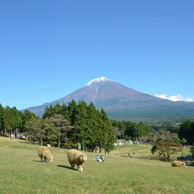 まかいの牧場【公式】's profile picture