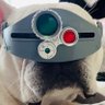史上最強の図書委員長's profile picture