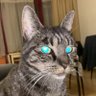Profilbild von h.k