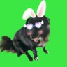 กระต่ายอ้วน KEEP COOL🌷🐰🤍🦦🌹 profil fotoğrafı