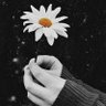 ام رنيم🎀 profil fotoğrafı