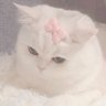 Profilbild von mayupyon