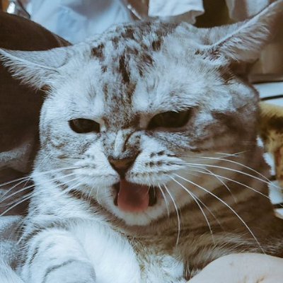 세상거꾸로보기's profile picture