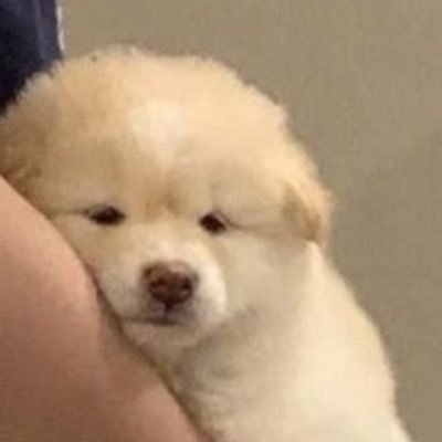 dong2u_'s profile picture