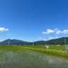 Фото профиля ゆきひろ