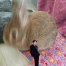Profilbild von 🐰まなてぃ🐰