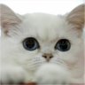 Profilbild von gdb