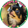 Profilbild von ãã€ã&áµáŽ±áŽ¬áŽ¹ð
º