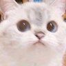 ไม่กินเส้นหมี่🌼🌧️🫥's profile picture