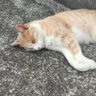 えんみとた 的头像