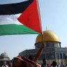 Profilbild von Mo3tsm 🇵🇸