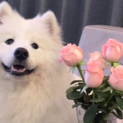 ta_xiao24198's profile picture