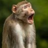 Profilbild von Adrian Njowo