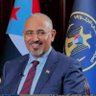 الجنوب نبض القلوب's profile picture