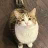Profilbild von bukan ori