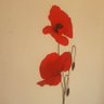 Giusy Accountdesalvinizzato's profile picture