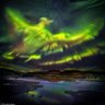 M Firefly's profile picture