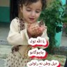 Profilbild von Sajjad Kpk
