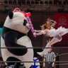 Kayfabe is Alive 的头像