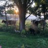 Rural mom profil fotoğrafı