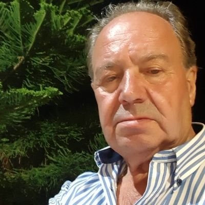 Antonio Orlando Lobo Antunes's profile picture