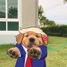 They call me Gator's profile picture