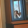 Raül's profile picture