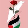 🌸🇵🇸🌷🇲🇦🌷🇵🇸🌸التميمي Tamimi's profile picture