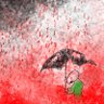 Rami Zak 🇵🇸's profile picture