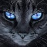 Profilbild von ヒロ