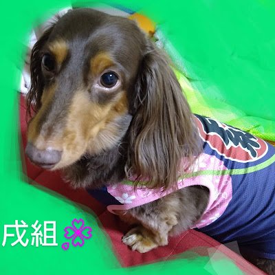 RenANDFamily's profile picture
