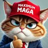 MAGA_Cat 的头像